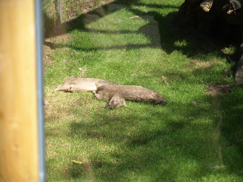 zoo__9_.JPG