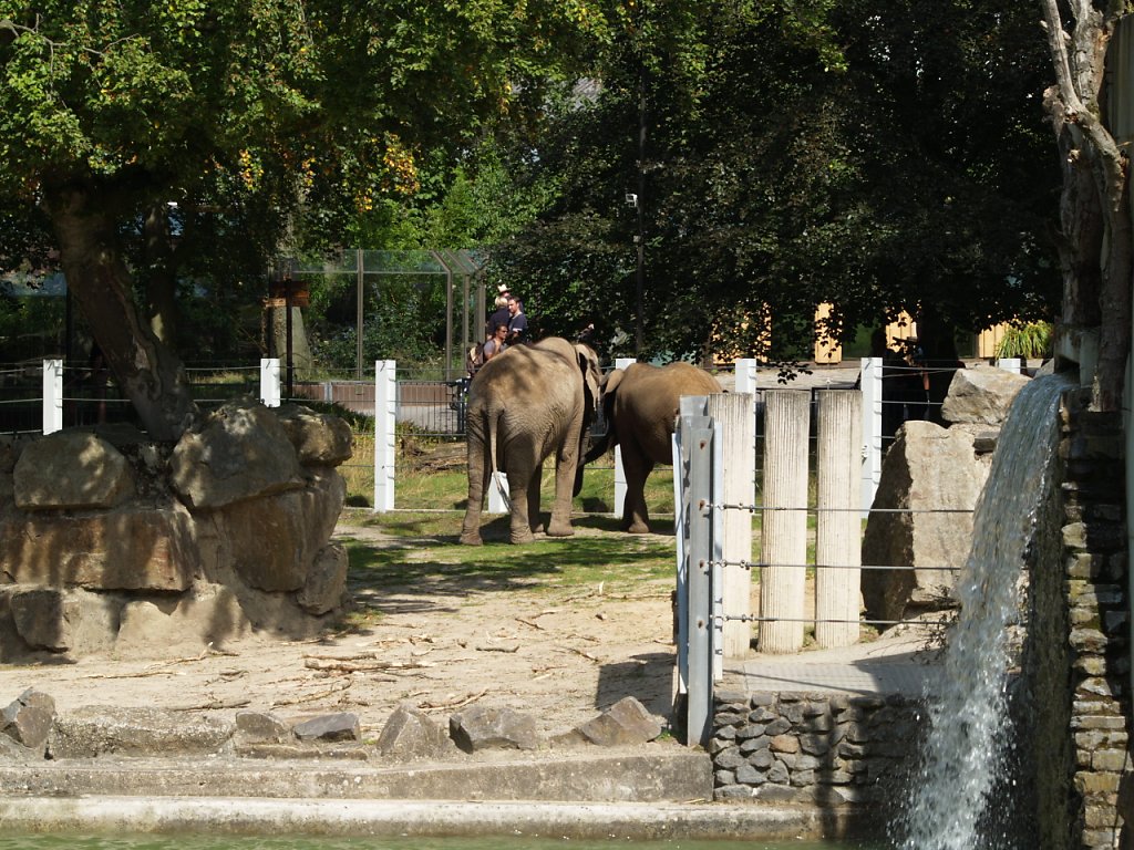 zoo__114_.JPG