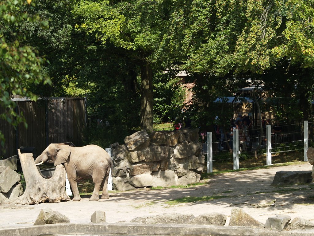 zoo__121_.JPG