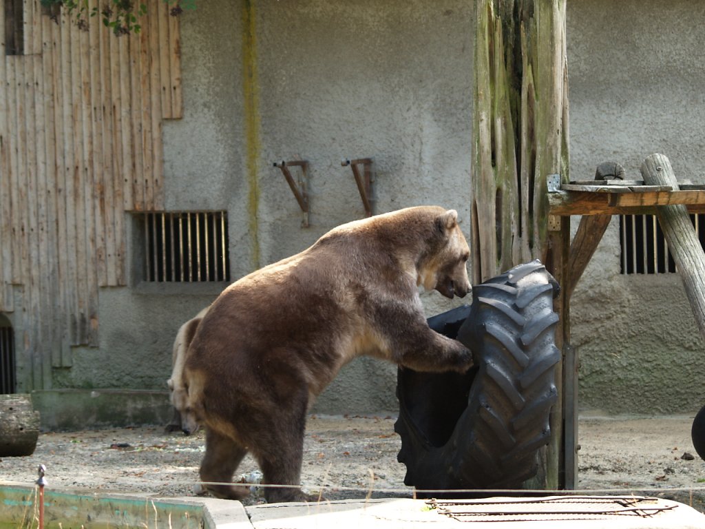 zoo__290_.JPG