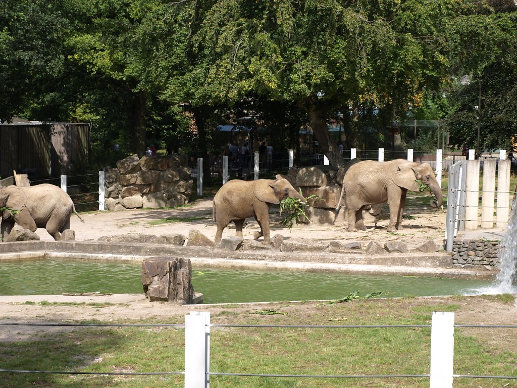 zoo__342_.JPG