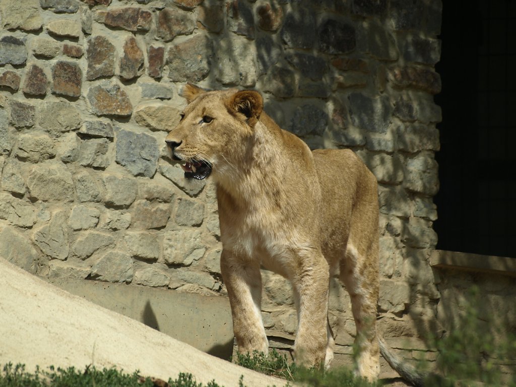 zoo__351_.JPG